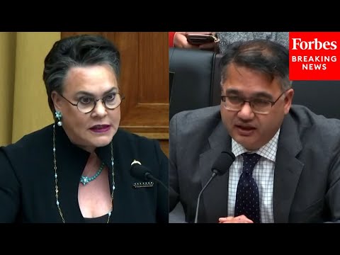 'I Want You To Answer My Question': Harriet Hageman Laces Into Dem Witness At Border Hearing