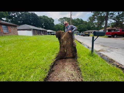 They haven’t SEEN this SIDEWALK in YEARS