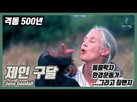 (오디오) 제인 구달 - 침팬지와 가족이 된 과학자