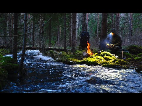 4 Days Bushcraft and Camping