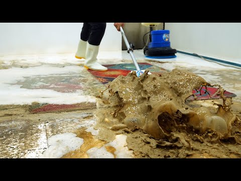 The Dirtiest Rug Ever Found Under Years of Mud - Can It Be Saved? | Carpet Cleaning ASMR