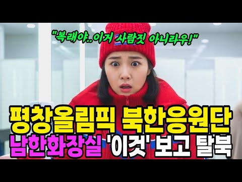 평창올림픽 북한응원단, 남한화장실 '이것' 보고 탈북｜탈북실화｜오디오북