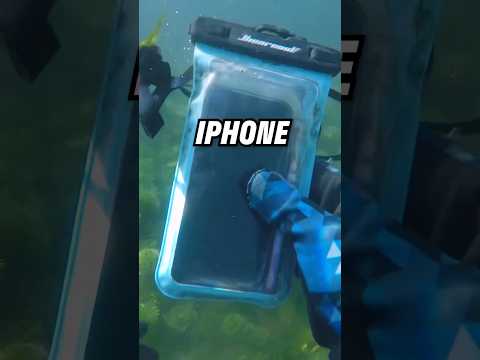 This Sunken iPhone Had Bonus Prizes In the Case 💰🤑💰