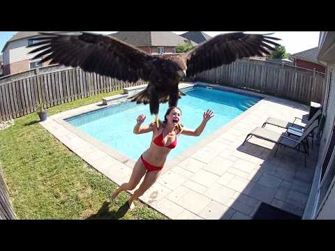 That Really Happened in People's Backyards