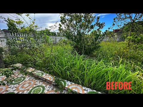 Snappy Let's Clean the Garden Fence Cut  lawn Create a beautiful garden Quick Transformation Video