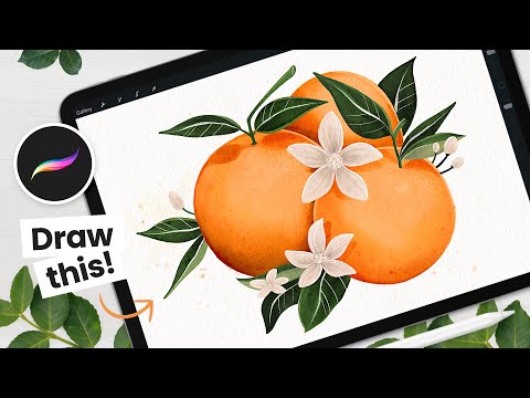 Let's Draw ORANGES 🍊 Step-by-step Procreate Tutorial