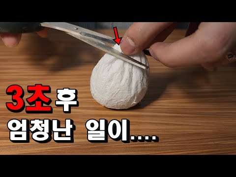 2달된 알집을 자르면 3초 후 생기는일..