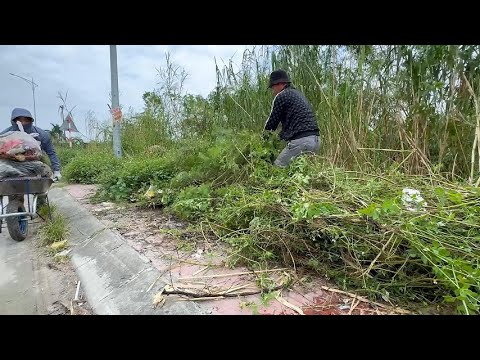 Extreme Sidewalk Cleanup! Removing Overgrown Grass & Trash