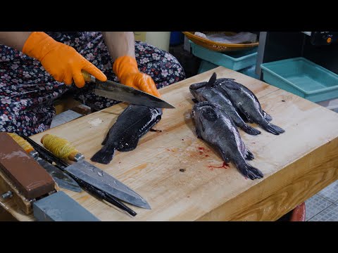 주문 폭주! 5월 농어부터 우럭까지 순식간에 썰어버리는 전설의 남창 칼잡이 광어,도다리, 밀치,장어 Korean Sashimi master