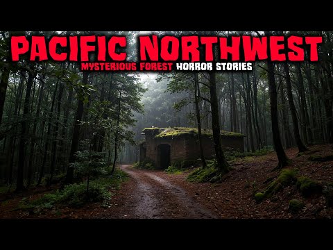 7 Most Disturbing TRUE Pacific Northwest Mysterious Forest Horror Stories | Buried Files