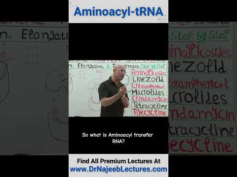 Aminoacyl tRNA #drnajeeb #drnajeeblectures #shortvideostatus