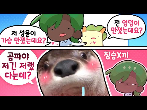 수달은 짐승이 맞다 [김뿡]