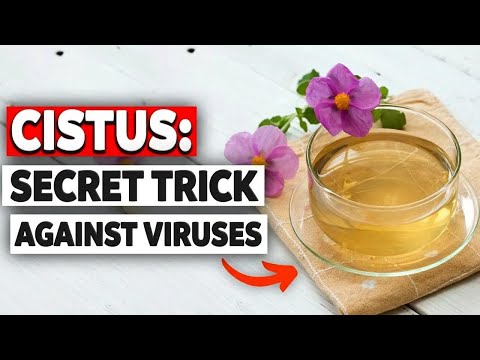 This Secret Healing Plant Can Boost Your Health