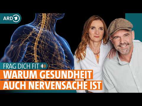 Sympathikus und Parasympathikus: So funktioniert das Nervensystem | Frag dich fit | ARD GESUND