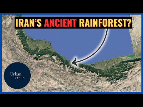 Why This Ancient Rainforest Exists in Iran? 