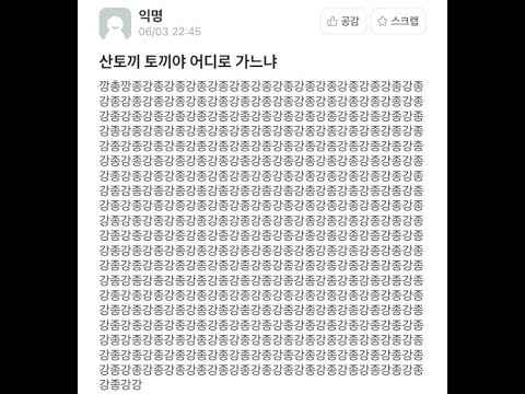 12월의 일상 브이로그