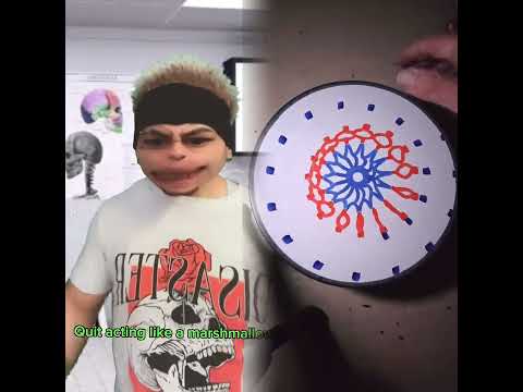 🤣👌👌👌2025 pov Must-Watch Crazy Clips Compilation #humor #fypシ #pov #fyp #foryou 😍😜