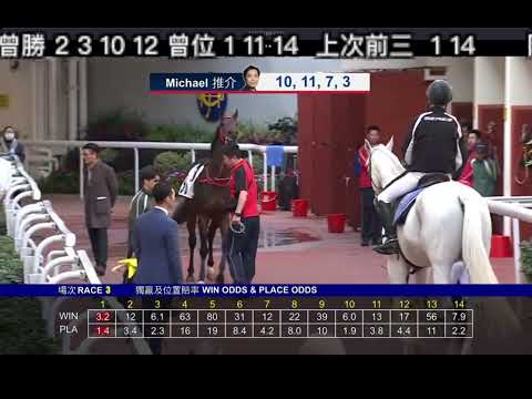 2025 02 09 沙田 第三場 超力量 潘頓