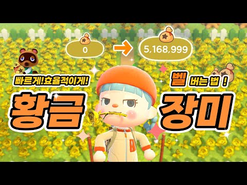 온라인 없이 벨 많이 버는 방법 중 단연 최고! 황금 장미 제대로 된 방법으로 쉽게 만드세요! ㅣ모동숲 꿀팁 ㅣACNH