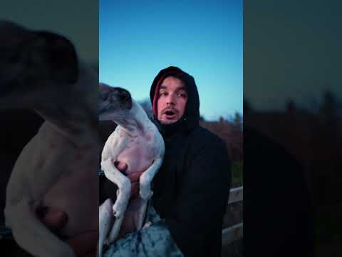 ChatGPT Script Got 512K