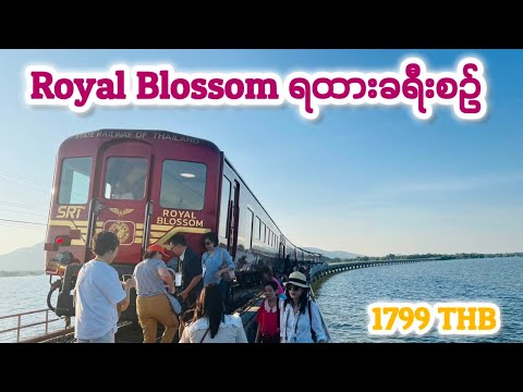 ထိုင်းနိုင်ငံရဲ့ အခမ်းနားဆုံးရထား Royal Blossom နဲ့ တစ်ရက်တာ ခရီးစဉ် (Pa Sak Jolasid Dam Trip)