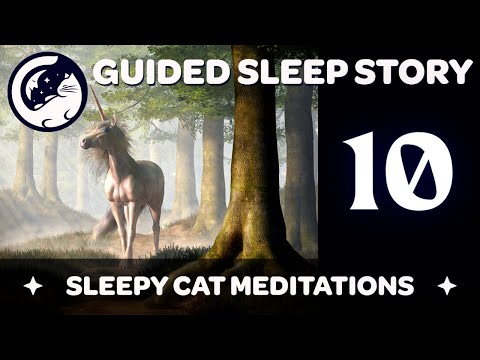 Transfiguration & Magical Creatures - Harry Potter Inspired Sleep Story ('Yer a Wizard') Ep 10/16