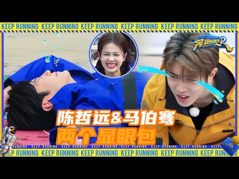 陈哲远和马伯骞在跑男受大罪 白鹿都笑出框了！为什么受伤的总是陈哲远 #奔跑吧11 EP3 20230505