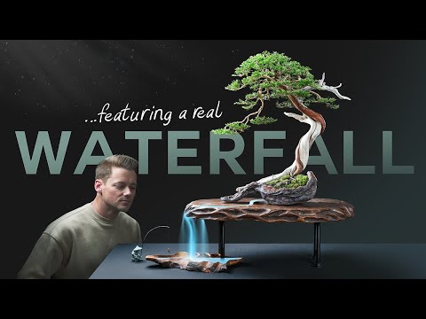 My First Bonsai Exhibition