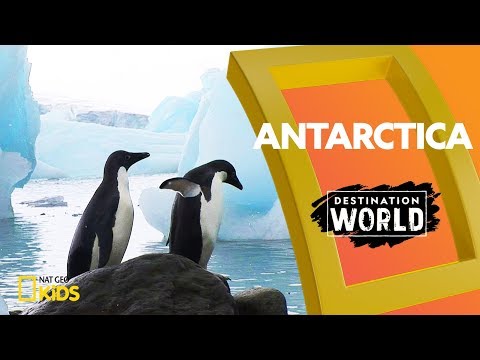Antarctica | Destination World
