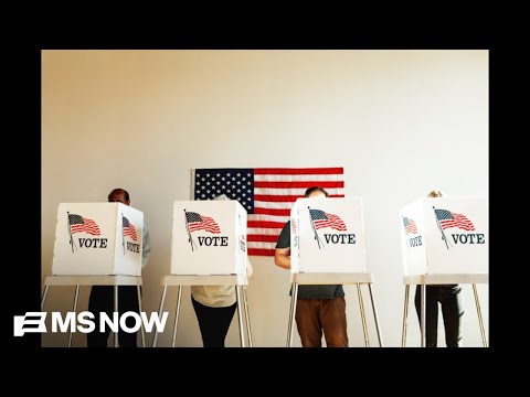 ‘Mass disenfranchisement’: The Slow, Methodical Attacks on Voting Ahead of Midterms