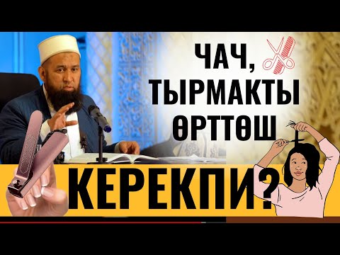 ЧАЧ, ТЫРМАКТЫ ӨРТТӨШ КЕРЕКПИ?  СУРОО-ЖООП