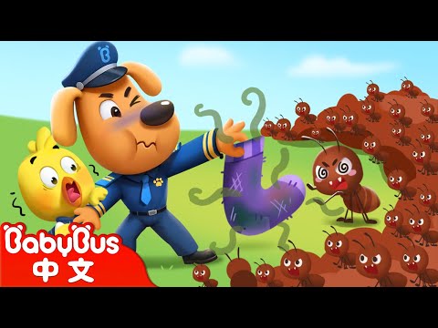 小心螞蟻軍團 +更多 | 寶寶好習慣 | 安全防護 | 車車 | 動畫 | Kids Cartoon | 安全教育 | 安全警長啦咘啦哆 | 寶寶巴士 BabyBus
