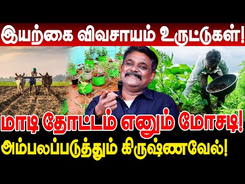 இயற்கை விவசாயம் உருட்டுகள்! மாடி தோட்டம் எனும் மோசடி! krishnavel interview iyarkai velanmai scam
