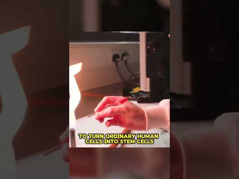 Immortality through AI: what is OpenAI hiding? | PRO Robots