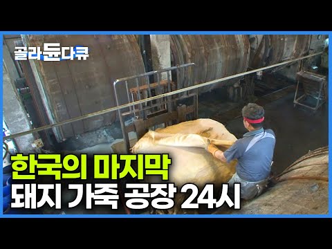 마지막 남은 국내 유일의 돈피 가공 공장|중국의 저가 가죽이 들어오면서 사양 산업의 길을 걷게 된 마지막 공장|극한직업|#골라듄다큐