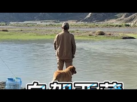 一人一车一狗，浪迹天涯，这环境太漂亮了，朋友们可以欣赏一下 #带着狗狗去旅行