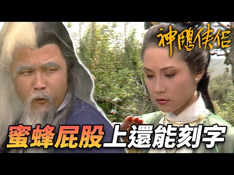 蜜蜂的屁股上竟然還能刻字！？說到眼神好那還得是老頑童！到底是誰在絕情谷底！｜神鵰俠侶｜劉德華｜陳玉蓮｜梁家仁｜歐陽佩珊｜港劇精華