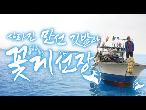 🌊 지난 날의 만선의 꿈...  이제는 어렵겠지만 기대는 해봐야죠 ㅎㅎ 🦀꽃게도 🐚소라도 잔뜩 잡아오겠습니다!