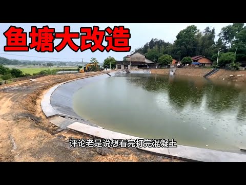The whole process of fishpond reconstruction: from muddy to refreshed #Fishpond #挖掘机(挖掘机的英文表达为excav