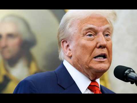 Trump descends into PANIC over Epstein files ARREST | Another Day