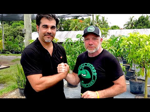 What Fruit Tree Is Best for Your Backyard?