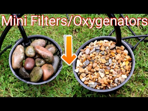 DIY Mini Pond Filter & Oxygenator (Pump in Plant Basket Hack!)