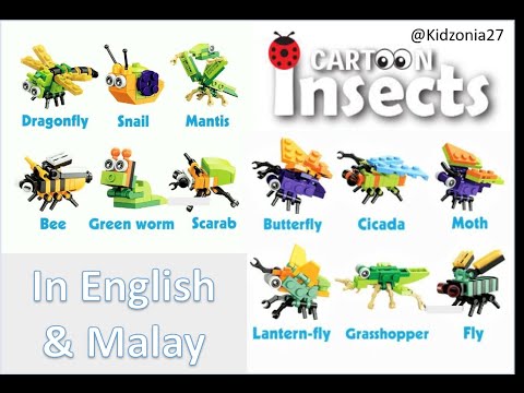 Insect Lego Collection (Learn and How to Make Insect Lego) Serangga Lego