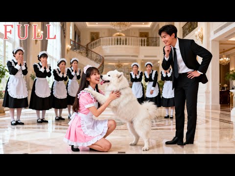 CEO's dog rejected all maids—only poor girl can calm it! CEO falls in love with her!