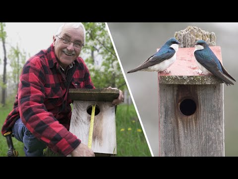 Nest Box Design: Our BEST DESIGN Details from 25 years of Practice