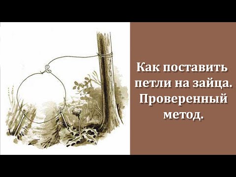 Как поставить петли на зайца. Все показываю и расказываю.
