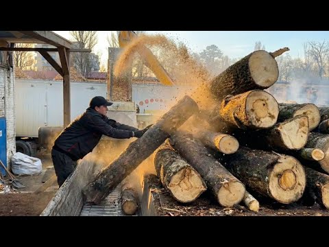 The Most BRUTAL Log Feeding Operation Ever | Compilation for TV