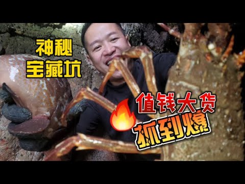 大半年没来的洞穴宝坑，抽干后就像打开宝箱一样值钱大货抓到爆