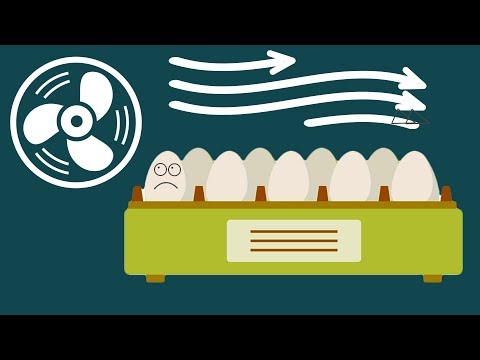 Suffocating in an incubator? Forced ventilation in an incubator and its advantages!