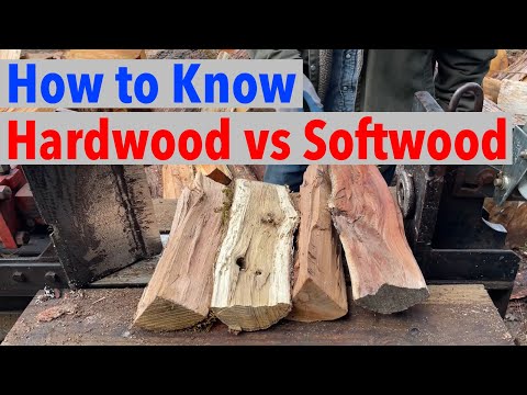 What is the Difference Between Hardwood & Softwood?